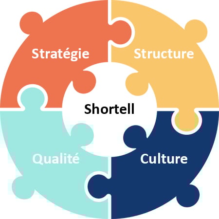 Modèle Shortell