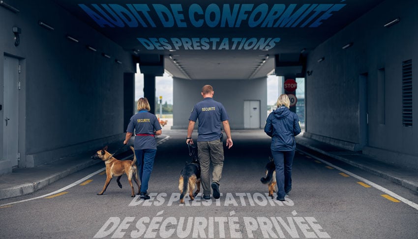 audit de prestation de sécurité privée