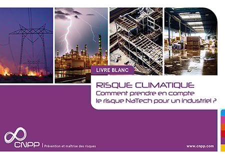 livre blanc risque NaTech