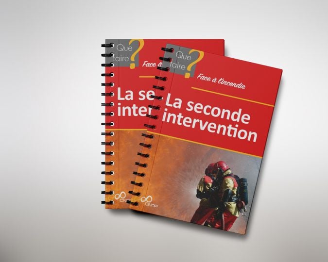 Livret Que Faire : La seconde intervention - ISBN 978-2-35505-398-6