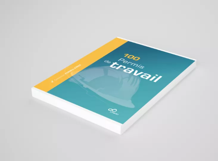 Mock up permis de travail