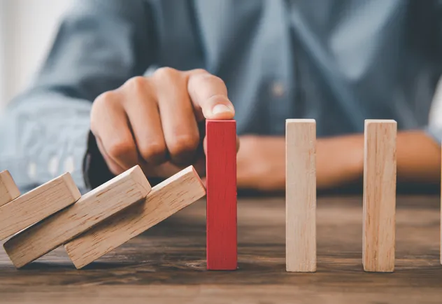 Formations en gestion des risques et des crises