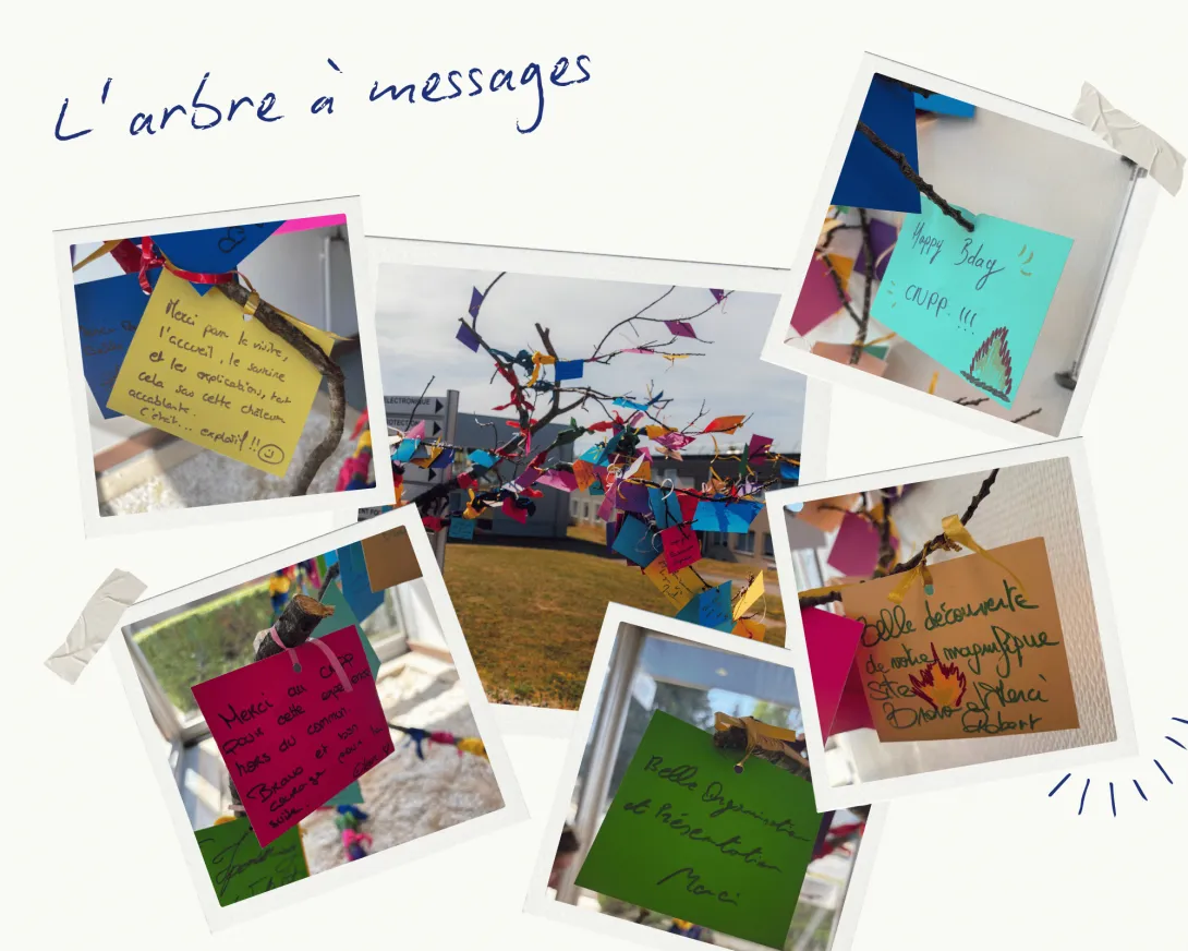 Mosaique arbre à messages 70 ans